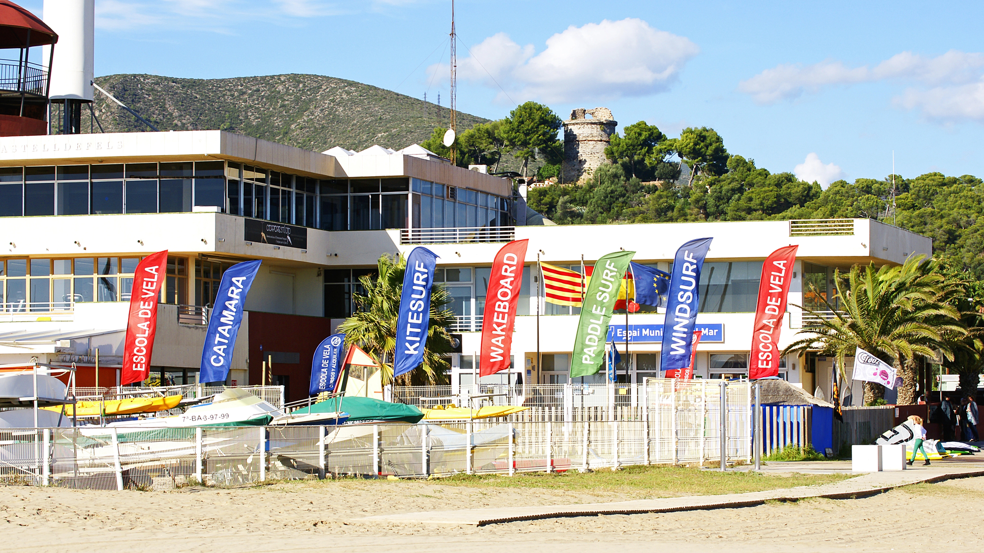 Beach Flags